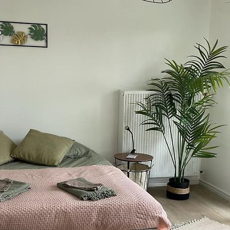 Studio T A 5Mn Euro Airport Avec Terrasse Сен-Луи Экстерьер фото