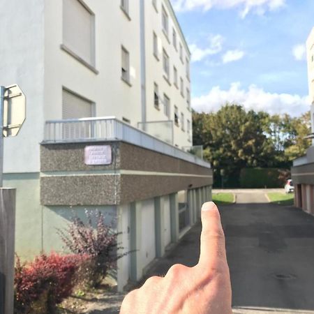 Studio T A 5Mn Euro Airport Avec Terrasse Сен-Луи Экстерьер фото