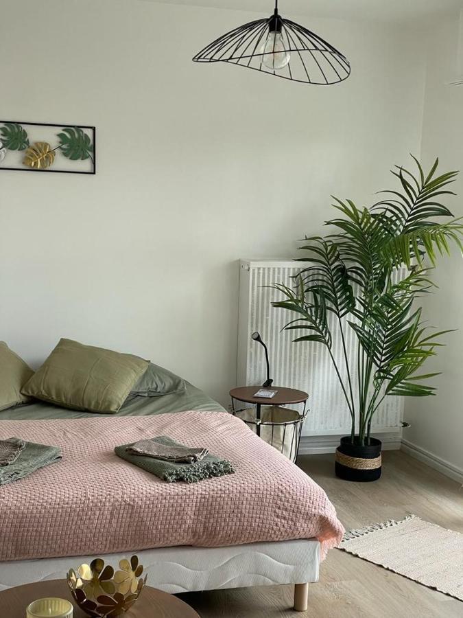 Studio T A 5Mn Euro Airport Avec Terrasse Сен-Луи Экстерьер фото