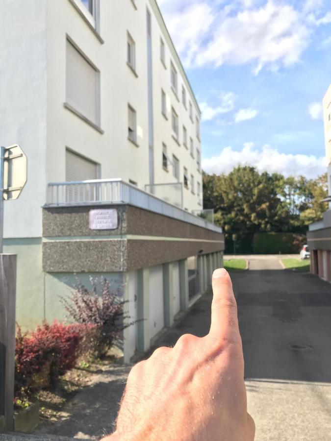 Studio T A 5Mn Euro Airport Avec Terrasse Сен-Луи Экстерьер фото